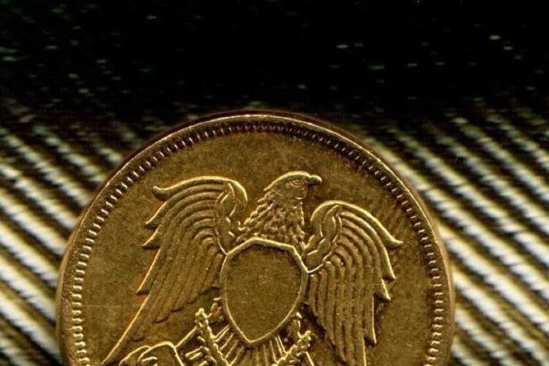 Hawk Tuah Coin