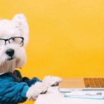 Easily Create Your Own Meme for Social Media in Minutes