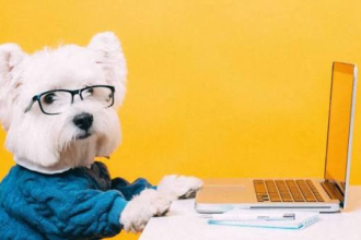 Easily Create Your Own Meme for Social Media in Minutes